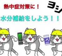 【ヨシ！】ネッコから見た現場猫とかいうねこ【GIF】