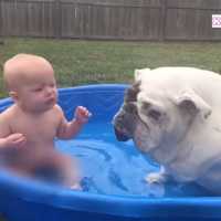 💗【犬と赤ちゃん】毎日赤ちゃんを笑わせる犬たち💗一緒に楽しそうに水遊ぶ赤ちゃんと犬